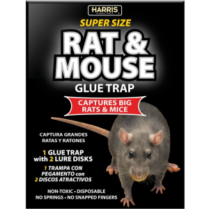 MOUSE/RAT - SUPER SIZE GLUE TRAP
