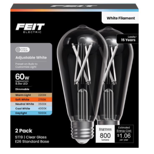 BULB - LED EDISON ST19 60W - 2PK