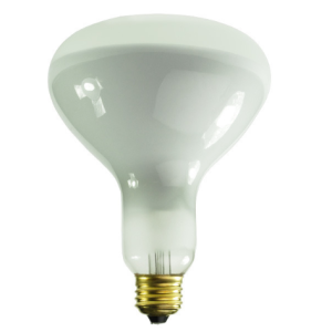 BULB - POOL LIGHT 500W