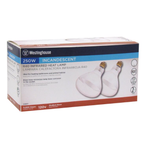 BULB - HEAT LAMP CLEAR 250W - 2PK